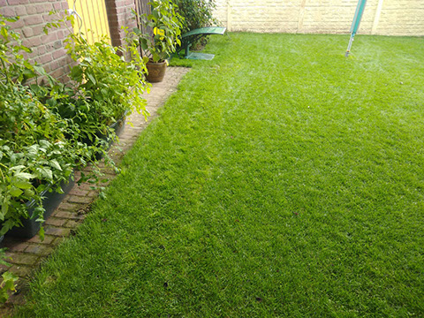 So schön wie vorher